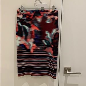 Clover Canyon Skirt